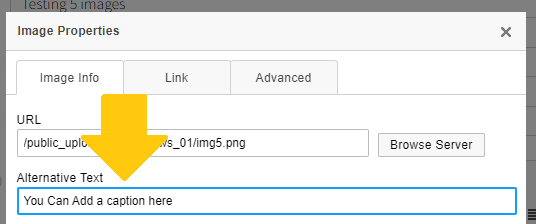 You Can Add a caption here
